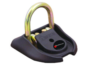 DoubleLock Dock Lock